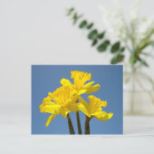 Blue Sky Postkarten Gelbe Daffodische Blume Blauer (Stehend Vorderseite)
