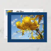 Blue Sky Postkarten Summer Yellow Tiger Lilies (Vorne/Hinten)