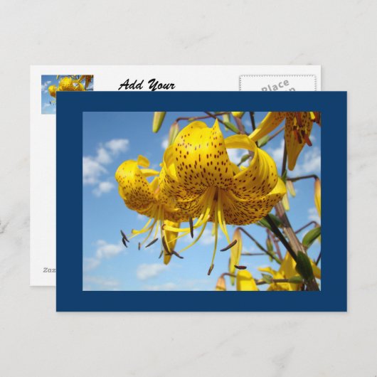 Blue Sky Postkarten Summer Yellow Tiger Lilies (Vorne/Hinten)