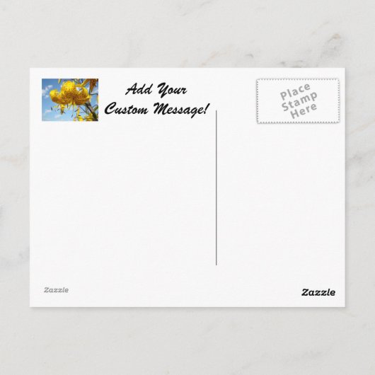 Blue Sky Postkarten Summer Yellow Tiger Lilies (Rückseite)