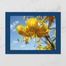 Blue Sky Postkarten Summer Yellow Tiger Lilies