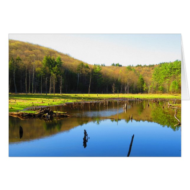 Blue Sky Reflektion (Vorderseite (Horizontal))