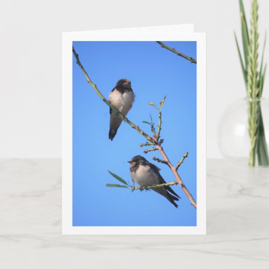 Blue Sky, Swallow Birds Portrait Karte (Vorderseite)