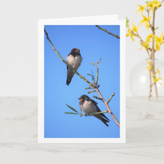 Blue Sky, Swallow Birds Portrait Karte (Gelbe Blume)