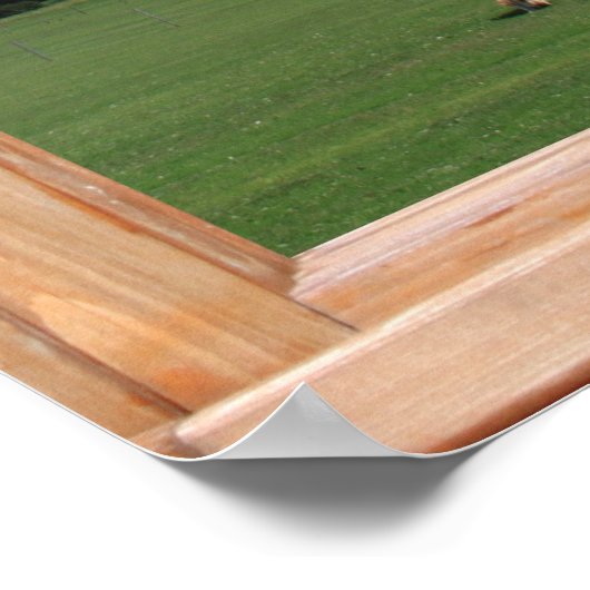 Blue Sky über Park View - Imitate Window Poster (Ecke)