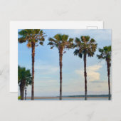 Blue Sky und Bäume Postkarte (Vorne/Hinten)