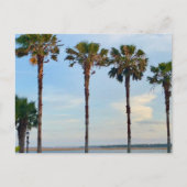 Blue Sky und Bäume Postkarte (Vorderseite)