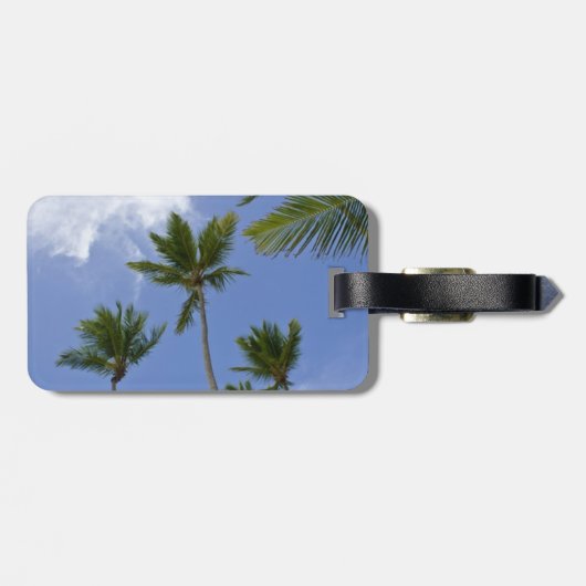 Blue Sky und Palm Trees Gepäckanhänger (Rückseite horizontal)