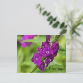 Blue Snakeweed Postcard Postkarte (Stehend Vorderseite)