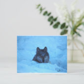 Blue Snow Timber Wolf Postcard Postkarte (Stehend Vorderseite)