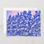 Blue Snowscape, Conifer, CO Postkarte (Vorne/Hinten)