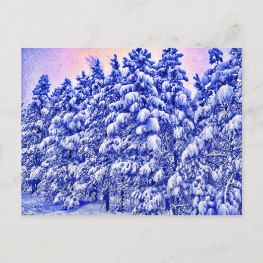 Blue Snowscape, Conifer, CO Postkarte (Vorderseite)
