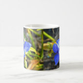 Blue Spiderwort Blume Tasse (Mittel)