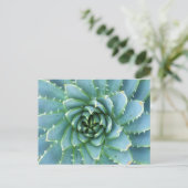 Blue Spiral Aloe Post Card Postkarte (Stehend Vorderseite)
