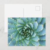 Blue Spiral Aloe Post Card Postkarte (Vorne/Hinten)