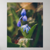 Blue Spring Blume Poster (Vorne)