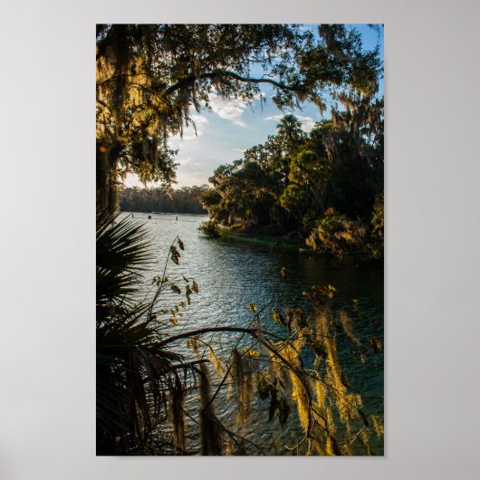 Blue Springs Staat Park, Florida Poster (Vorne)