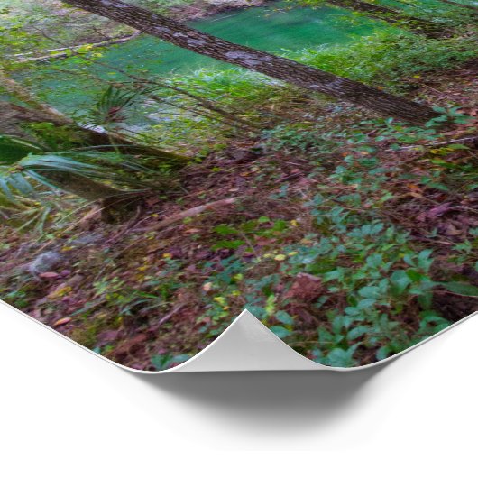 Blue Springs Staat Park, Florida Poster (Ecke)