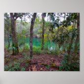 Blue Springs Staat Park, Florida Poster (Vorne)