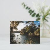 Blue Springs Staat Park, Florida Postkarte (Stehend Vorderseite)