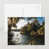 Blue Springs Staat Park, Florida Postkarte (Vorne/Hinten)