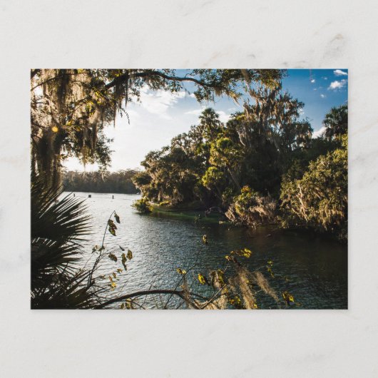Blue Springs Staat Park, Florida Postkarte (Vorderseite)