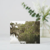 Blue Springs Staat Park Foto Postkarte (Stehend Vorderseite)