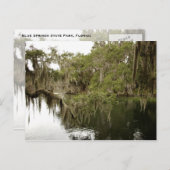 Blue Springs Staat Park Foto Postkarte (Vorne/Hinten)