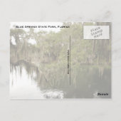 Blue Springs Staat Park Foto Postkarte (Rückseite)