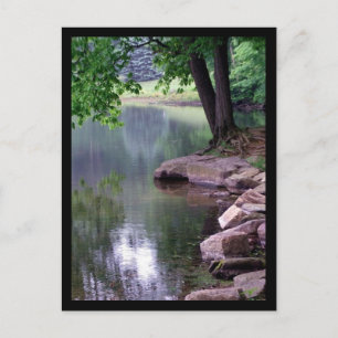 Blue Spuce Park Postcard #1 Postkarte