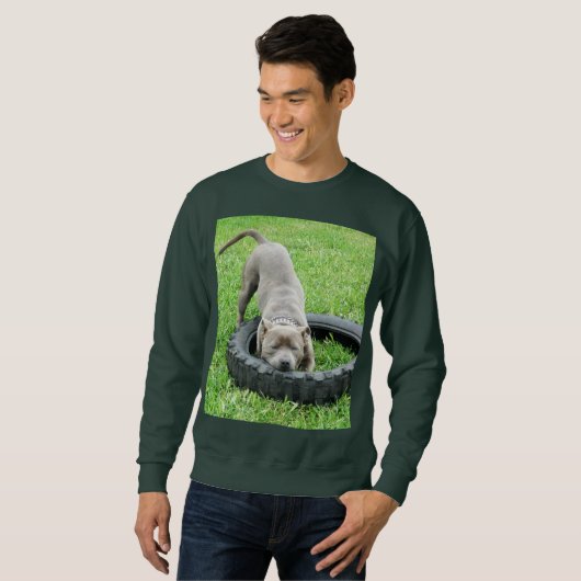 Blue Staffordshire Bull Terrier Play Time Sweatshirt (Vorne ganz)