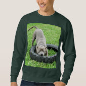 Blue Staffordshire Bull Terrier Play Time Sweatshirt (Vorderseite)