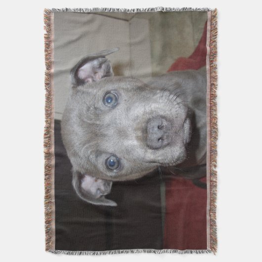 Blue Staffordshire Bull Terrier Puppy Decke (Vorderseite Vertikal)