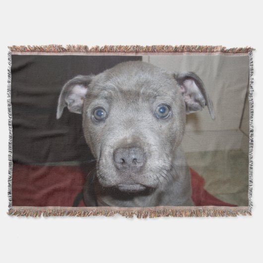 Blue Staffordshire Bull Terrier Puppy Decke (Vorderseite)