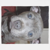 Blue Staffordshire Bull Terrier Puppy Fleecedecke (Vorderseite (Horizontal))