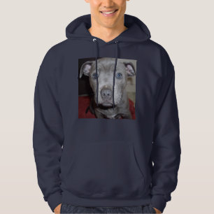 Blue Staffordshire Bull Terrier Puppy Hoodie
