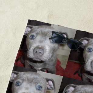 Blue Staffordshire Terrier Puppy, Beach Towel Strandtuch