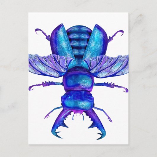 Blue Stag Beetle Postkarte (Vorderseite)