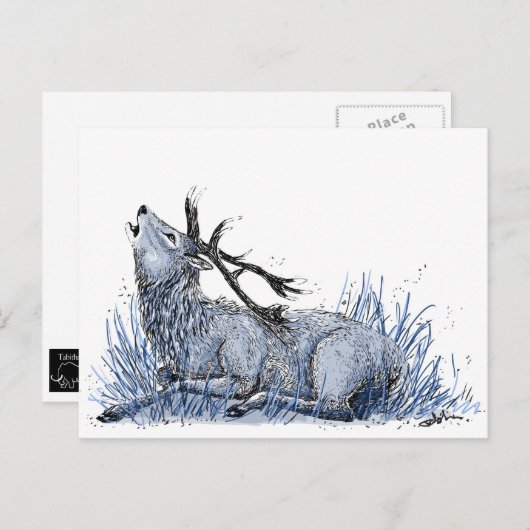 Blue Stag Postcard Postkarte (Vorne/Hinten)