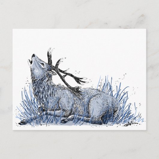 Blue Stag Postcard Postkarte (Vorderseite)