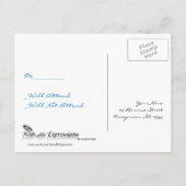 Blue Starfish and Silver Coral UAWG Postcard Einladungspostkarte (Rückseite)