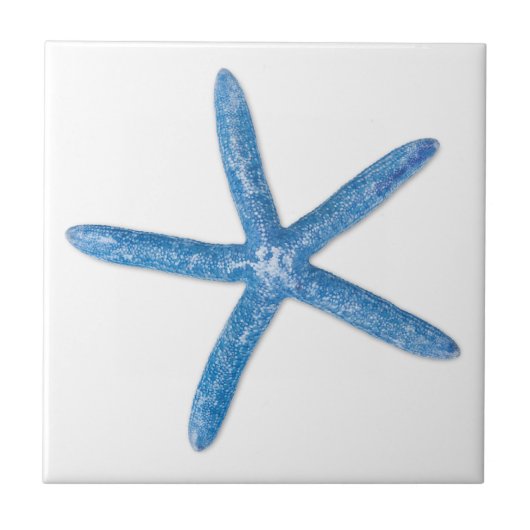 Blue Starfish Fliese (Vorderseite)