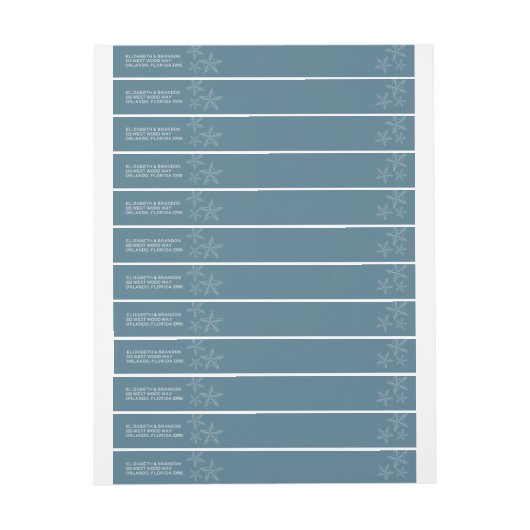 Blue Starfish Florida Beach Wedding (Bogen)