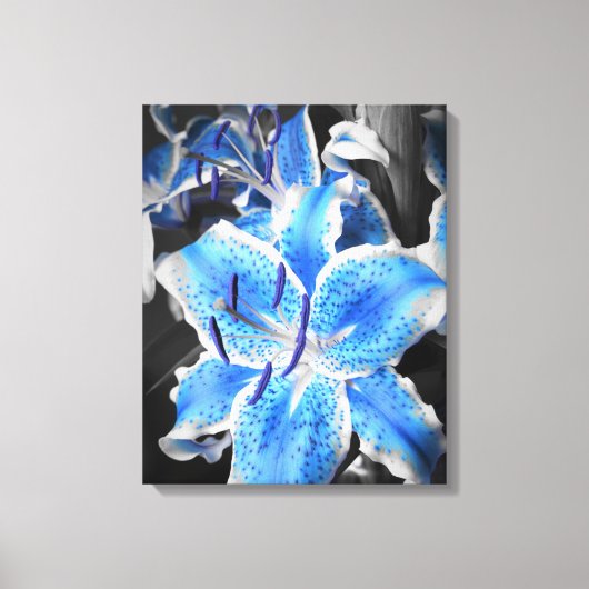Blue Stargazer Wrapped Canvas Leinwanddruck (Vorderseite)