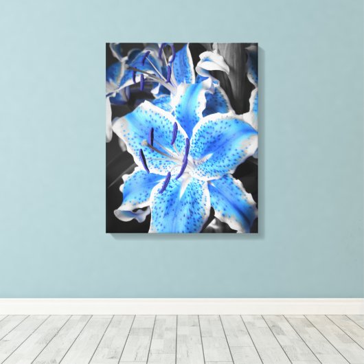 Blue Stargazer Wrapped Canvas Leinwanddruck (Insitu (Holzboden))