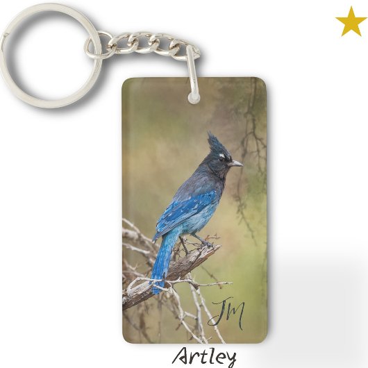 Blue Stellar's Jay Bird Painting Custom Initials Schlüsselanhänger