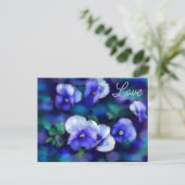Blue Stiefmütterchens Pansy Blume Blumenkohl Blume Postkarte (Stehend Vorderseite)
