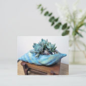 Blue Succulent in Seashell von Sukkulenten Designs Postkarte (Stehend Vorderseite)
