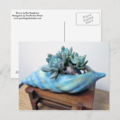 Blue Succulent in Seashell von Sukkulenten Designs Postkarte (Vorne/Hinten)
