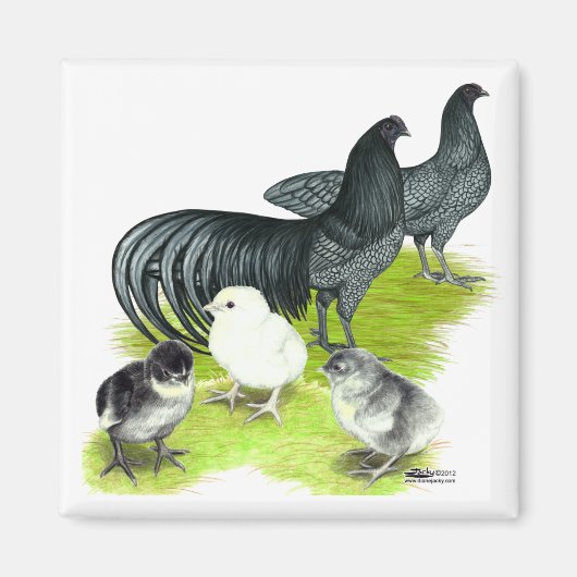 Blue Sumatra Magnet (Vorne)